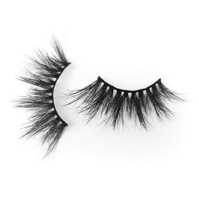 China Premade Matte Other Eyelashes Eyelash Extension Natural Black Long Extensions With Packing Box for sale