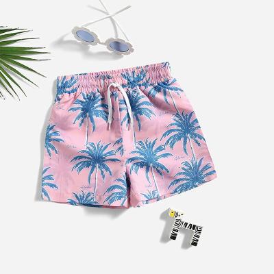 China QUICK DRY Factory Vacation Trunk Kid Beachwear Custom Panel Shorts Boy Briefs Kids Swim Shorts for sale