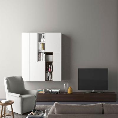 China Low Modular Wooden Single Cabinet Living Room Cabinet Combination Of Cabinet And Wall Cabinet Fashion TV Designs for sale