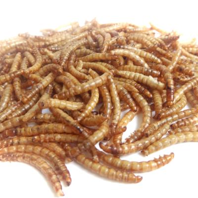 China RM Yellow Dried Meal Worm 100g Sustainable Natural Flavor MWB-100 Te koop