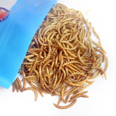 China MWB-100 Dried Meal Worm Bird Seeds Edible Natural Flavor 100g/Bag for sale