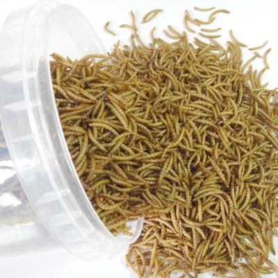 Китай Top Rated Hot Selling Wholesale High Quality High Nutrition High Protein Feeding Grade Dried Mealworm In Tub For Small Animals продается