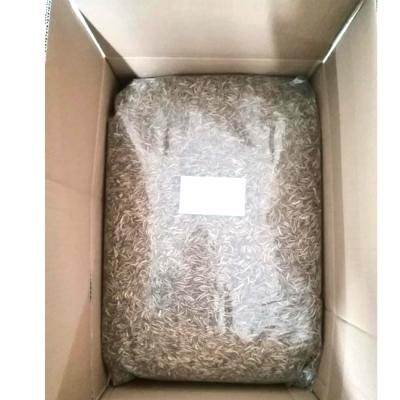 China High Protein Dried Meal Worm Bulk 5 KG Yellow Sustainable MWB-5000 Te koop