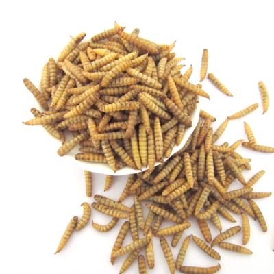 Китай Bulk Top Quality Dried Black Soldier Fly Larvae For Chicken Poultry Feed продается