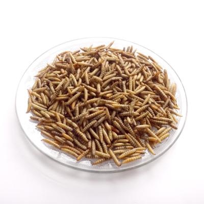 China Pure	Dried BSF Larvae Feeding Grade 15KG Yellow Natural Flavor 3 Bags/Carton for sale