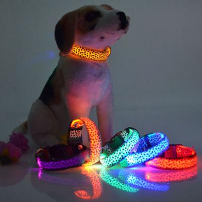 China Lights Shape USB Rechargeable LED Dog Collar Customs Lead Tpu Light Up Safety Pet Collar for sale