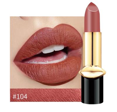 China High Quality Tint Tube Waterproof Matte Lipstick Beauty for sale