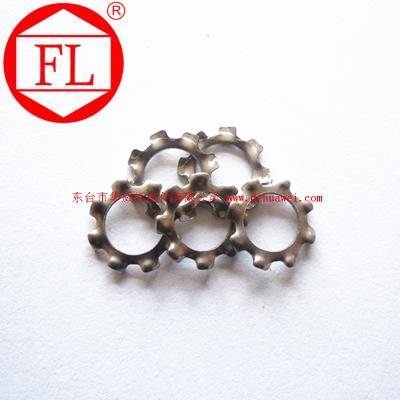 China Made In China Stainless Steel Internal A2 / A4 Teeth Serrated Lock Washers DIN6798 GB for sale