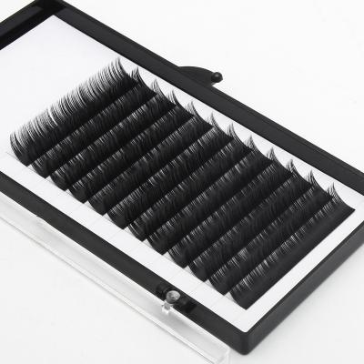 China Light Soft Natural Looking 0.03 0.05 0.07 0.10 0.15 0.20 J Since C D L LC CC Loop All Size Lash Extensions Eyelash Extension for sale