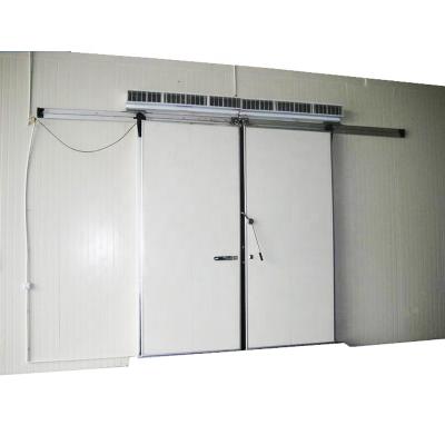 China Hotels Foam Casting Polyurethane Refrigerator Sliding Door For Electronic Instrument Cold Storage Door for sale