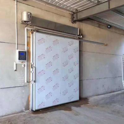 China Modern sturdy and durable electric coldroom doors with good sealing sliding door for refrigeration room for sale