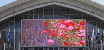 China 320X160  P20 LED Module Outdoor LED Display Screen 2500 Dots High Resolution for sale