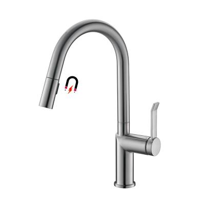 China Pull Out LVTIAN APS204-BN Modern Spray Style Brushed Nickel Kitchen Sink Faucet Pull Down Kitchen Faucet for sale