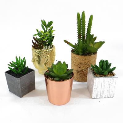 China Contemporary Top-selling Artificial Mini Potted Plant Simulation Cactus Bonsai Succulent Ornaments for sale