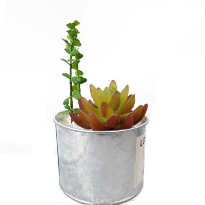 China Latest sales contemporary simulation factory creative mini landscape micro succulent combination for sale