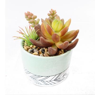 China Contemporary latest sales of mini succulents simulation plants creative desktop ornaments for sale