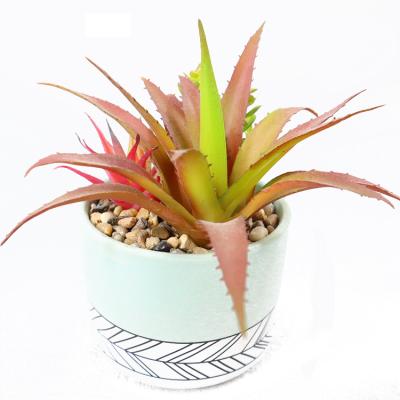 China Best Selling Contemporary Simulation Succulents Decoration Mini Succulent Table Decoration for sale