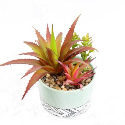 China New Product Indoor Ornaments Potted Flower Arrangement Contemporary Mini Artificial Succulents Ornaments for sale