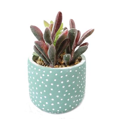 China New Simulation Succulents Contemporary Desktop Decoration Mini Nordic Succulents for sale