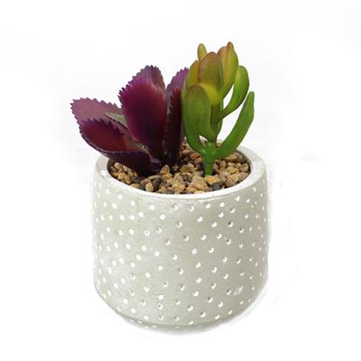 China New Contemporary Simulation Succulents Quarry Plastic Potted Creative Indoor Decoration for sale