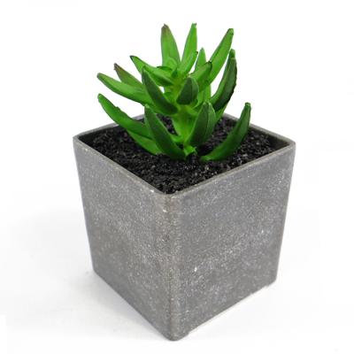 China Wholesale contemporary China-made mini simulation creative succulent desktop micro-landscape ornaments for sale