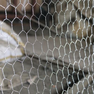 China cages chicken wire mesh/poultry mesh/hex wire netting for sale