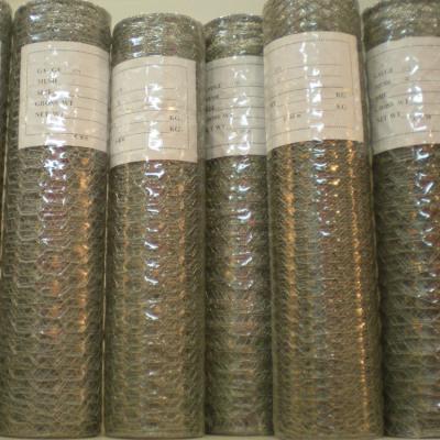 China Gabions Chicken Wire/Poultry Cage/Hexagon Netting for sale