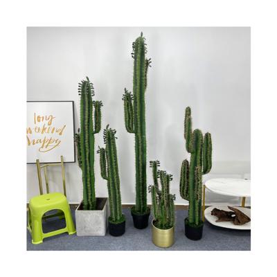 China Art Decor Factory Direct Christmas Artificial Cactus Home Decoration Plant With High Quality for sale