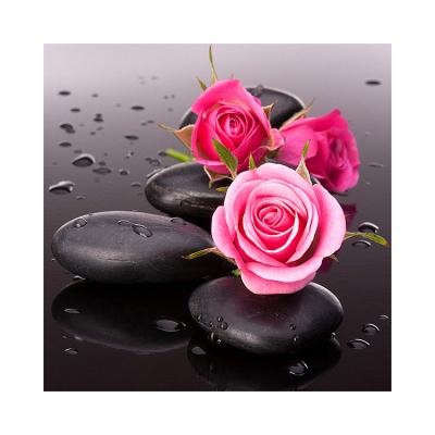 China Europe 5D DIY Rose Diamond Painting Flower Wall Canvas Art Painting For Home Decor Full Drill Cross Stitch Diamond Kits for sale