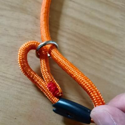 China Factory direct sales viable solid to bite 2022 led lamp pull dog rope for sale