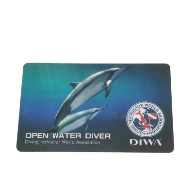 China Environmental Protection Advertising Cardboard Plastic PVC Customized Card for sale