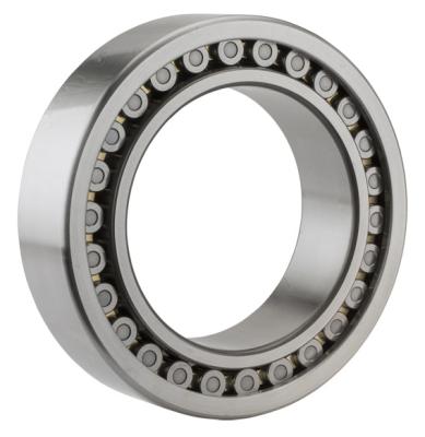 China Good Price NJ/NU/N/NP2305 ECP/ECJ/ECM/EM NJ2305E NU2305E NUP2305E Hotels NJ2305 NU2305 N2305 NUP2305 Cylindrical Roller Bearing for sale