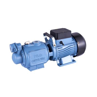 China ZGD 220V Irrigation and Agriculture Series Cast Iron Body Self Suction Pump Jet Pump In Nepal ZGD1100 Screw Pump For Home for sale