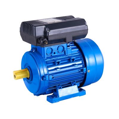 China Drip Proof Single Phase 0.37kw 2.2 to Kw ML Electric Motor for sale