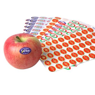 China Waterproof Eco - Friendly Removable Labels For Fruit With Custom Size Self Adhesive Fruit Label for sale