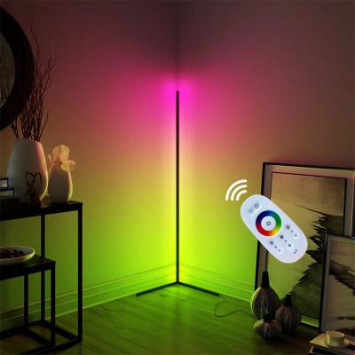 China Modern Home Decor Stand Floor RGB Light Led Floor Lamps Smart Corner Floor Lamps Floor Standing Floor Lamp Lighting for sale