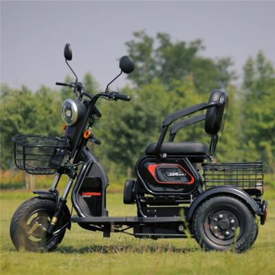 China Steel Hot in autumn and winter September Promotion electric bike ebike Electric City Bike electric tricycles for sale