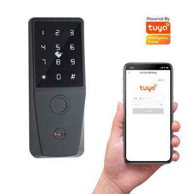 China Up to 300 Groups Backup Smart Key Password Fingerprint Tuya Open Digital Door Lock WIFI Body Power Battery Office Bedroom Card Hotel for sale