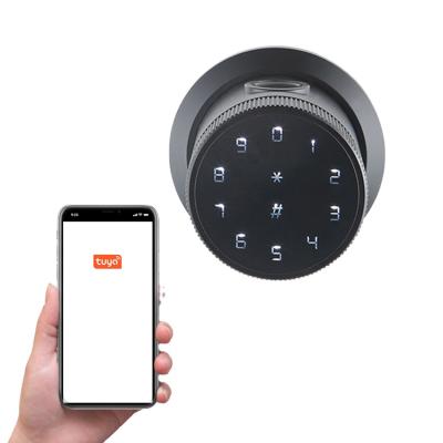 China Apartment tuya wifi products smart home smartphones unlocked door fingerprint lock for home for sale