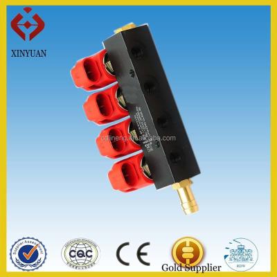 China ECER110-E4 CNG/LPG fuel injector rails/cng gas nozzle 160*50*70 for sale