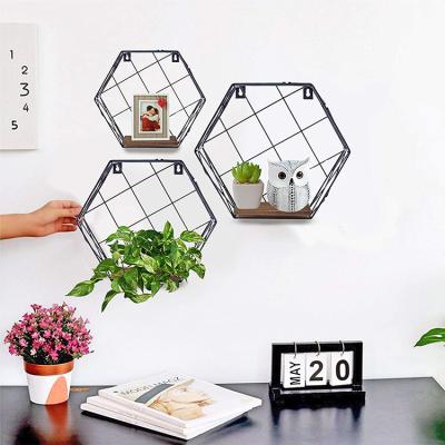 China (Size) Lanejoy Adjustable Modern 3 Hexagon Honeycomb Book Set Plant Stand Wall Mounted Metal Wine Shelves Rack for sale