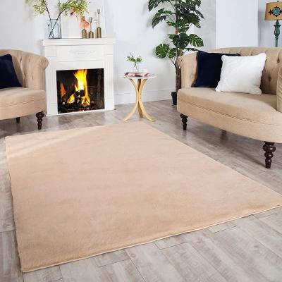 China Washable Home Wholesale Warm Home Blankets Fluffy Floor Faux Fur Rug Small Area Rug for sale