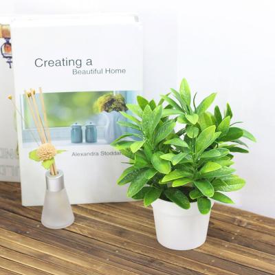 China Art Decor OEM/ODM Factory Artificial Desktop Decoration Artificial Green Bonsai Trees, with Plastic Basin, for Home Decoration for sale