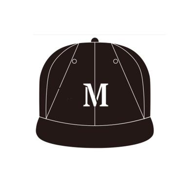 China Wholesale Custom High Quality Snap Hat New Era Style Snapback Hat Wholesale Custom Hat for sale