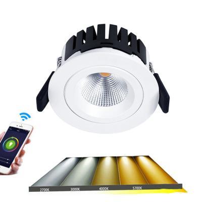 China Embeded 240v Fire Tilt Ip65 Rated Ceiling Cob Fitting 5 Years Warranty Led CCT Downlight Adjustable for sale