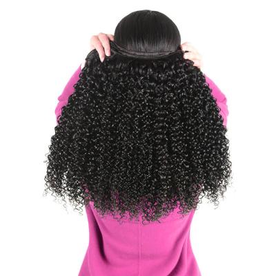 China Silky Straight Double Drawn Virgin Hair Brazilian Curly Wave Hair Extensions , Mongolian Kinky Curly Virgin Hair for sale