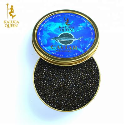 China Canned Sturgen Caviar is frozen fast food fish berry for sale