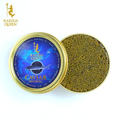 China xunlong fresh product Zhejiang white sturgeon frozen caviar canned caviar in vacuum for sale