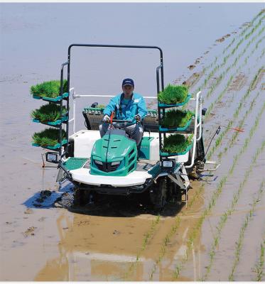 China Farmer 8 Rows Climbing Type Rice Planting Machine Rice Transplanter for sale