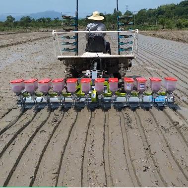 China Machinery repair shops 8/10 row 12 rows precise rice planter seeder for sale for sale